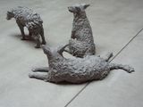 Betonhunde, Diplomausstellung, Katharina Kretzschmar, Kunst