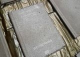 the golden passport, plaster casting, Katharina Kretzschmar, Dresden, artwork