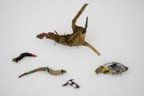 "Vögel", fertige Fundstöcke, etwas Bemalung, Katharina Kretzschmar, Kunst