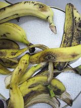 die Reste tätowierter Bananen